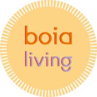 boia logo